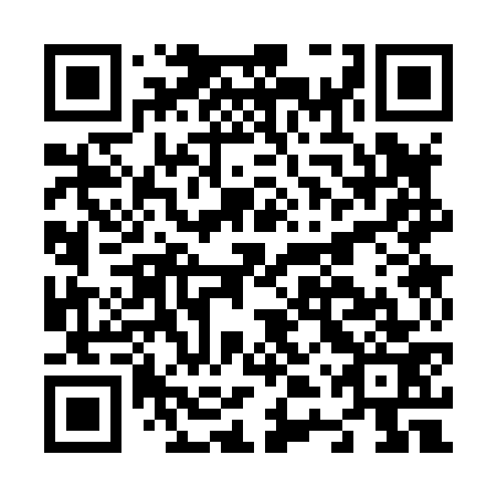 QR code for plate N4S 873
