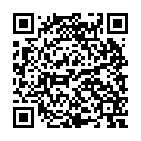 QR code for N4T 266