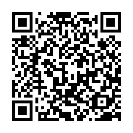 QR code for plate N4T 058