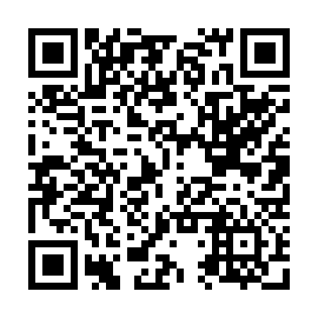 QR code for plate N4T 236