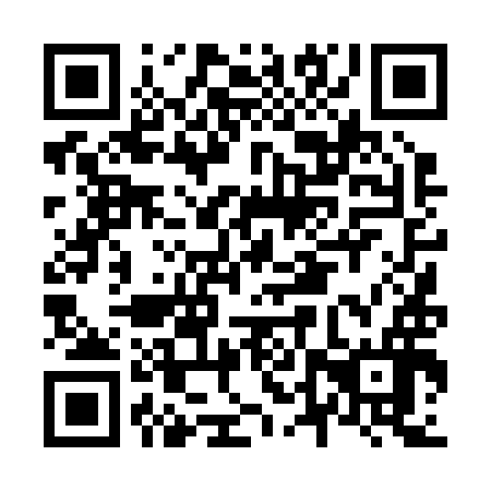QR code for plate N4T 296