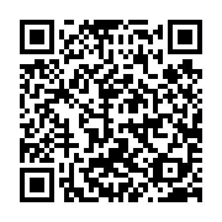 QR code for plate N4T 699