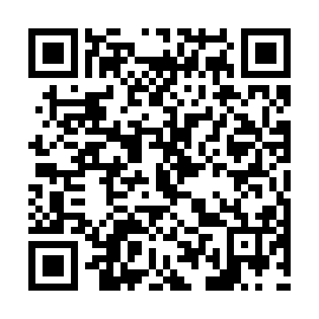 QR code for N4U 216