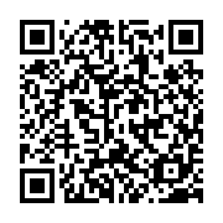 QR code for N4U 295