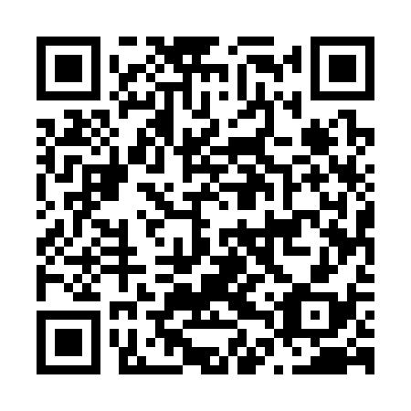 QR code for N4U 338