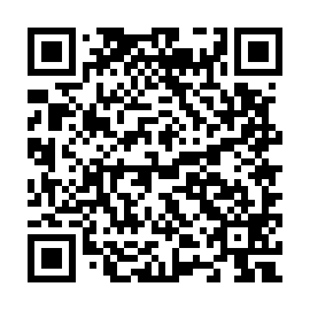 QR code for N4U 599
