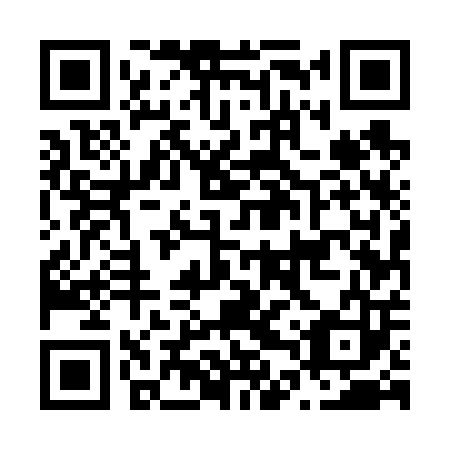 QR code for plate N4U 603