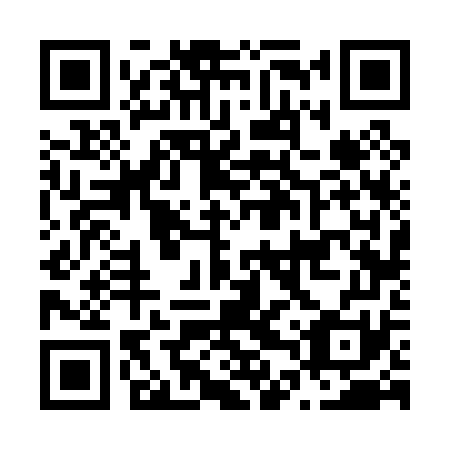QR code for N4V 071