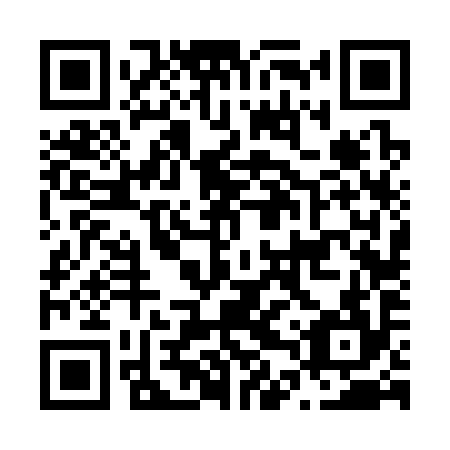 QR code for N4V 394