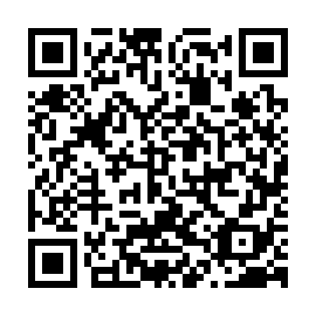 QR code for N4V378