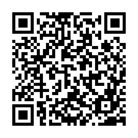 QR code for plate N4W 166