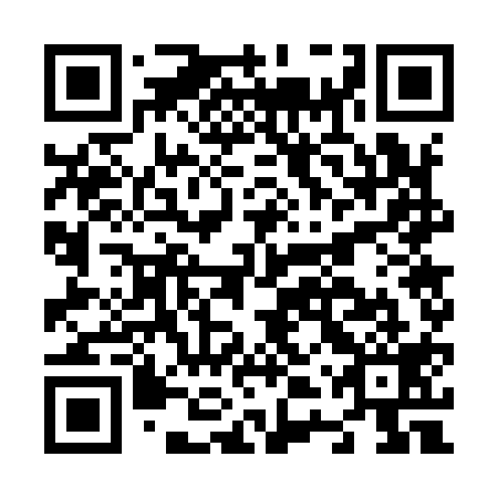 QR code for plate N4W 919