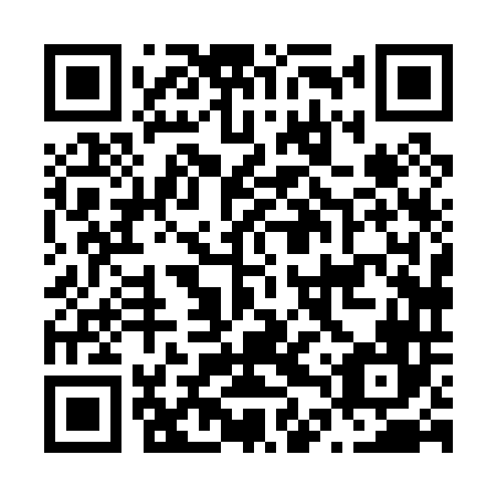 QR code for N4X 046
