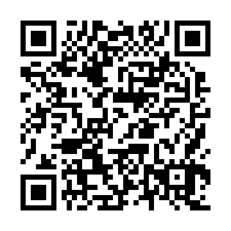 QR code for N4X 267