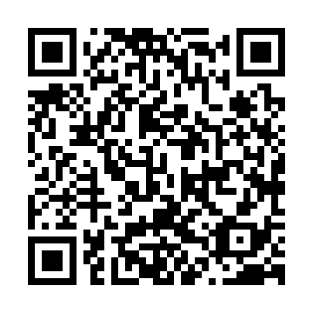 QR code for N4X 338