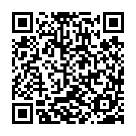 QR code for N4X 655