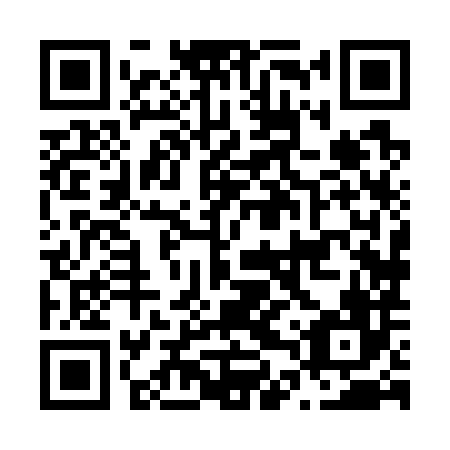QR code for N4X 786