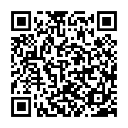 QR code for N4X033