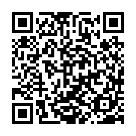 QR code for plate N4X 250