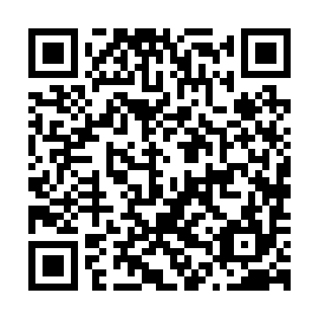 QR code for plate N4X 294