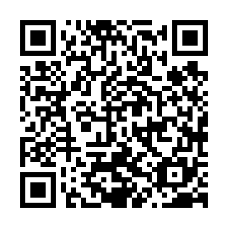 QR code for plate N4X 675