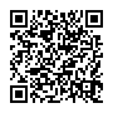 QR code for N4X743