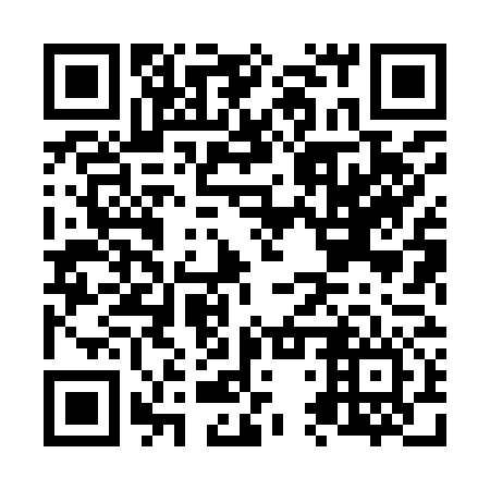 QR code for plate N4X 976
