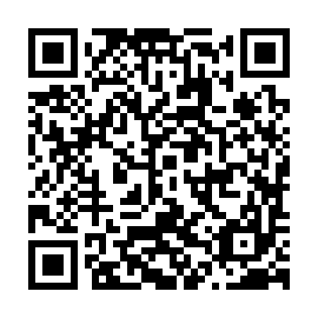 QR code for N4Z 397