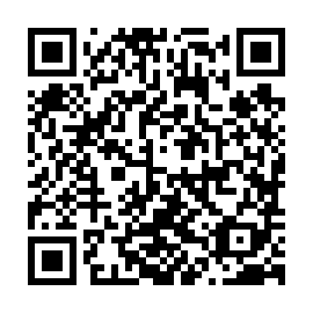 QR code for N4Z 689