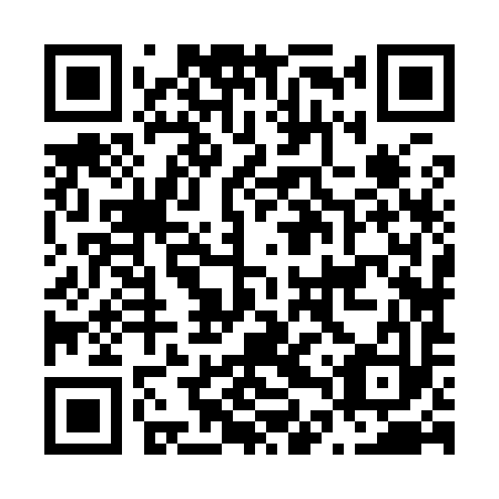 QR code for N4Z 993