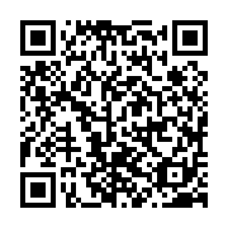 QR code for N4Z111