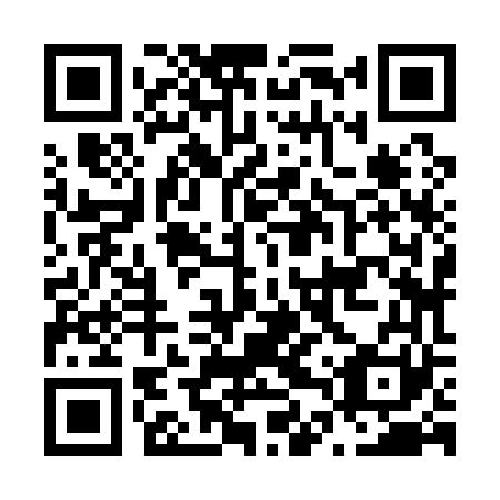 QR code for N4Z161