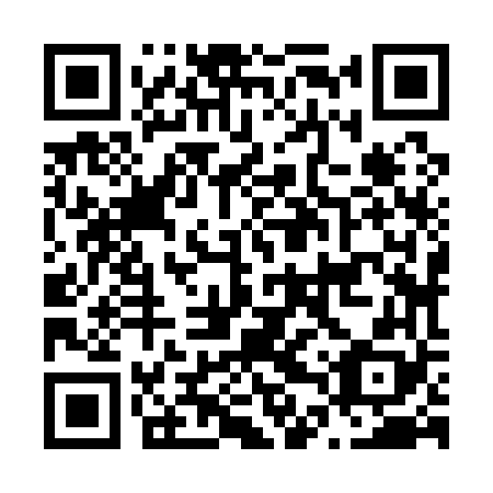 QR code for plate N4Z 168