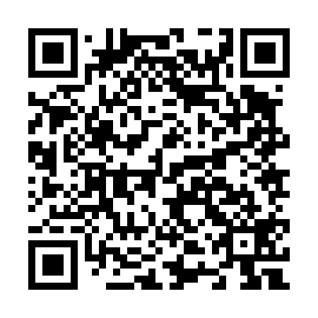 QR code for N4Z419