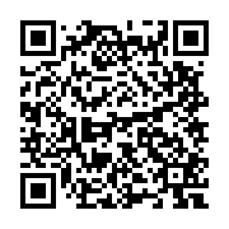 QR code for plate N4Z 501
