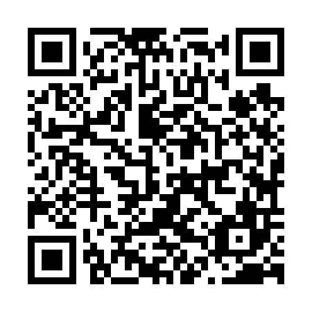 QR code for N4Z606