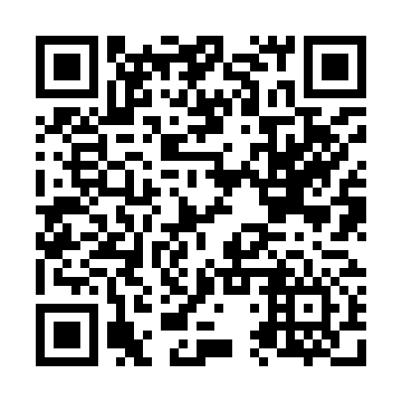 QR code for plate N4Z 976