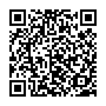 QR code for N5C498