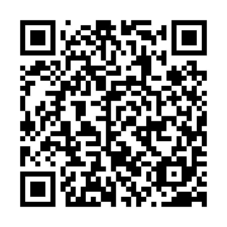 QR code for N5E 295