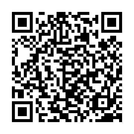 QR code for plate N5G 433