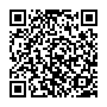 QR code for plate N5L 369