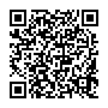 QR code for plate N5M 298