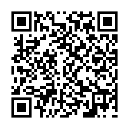 QR code for N5O 228