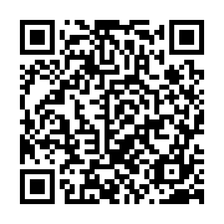 QR code for N5O 377
