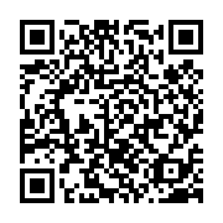 QR code for N5O 419
