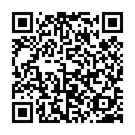 QR code for N5O 499