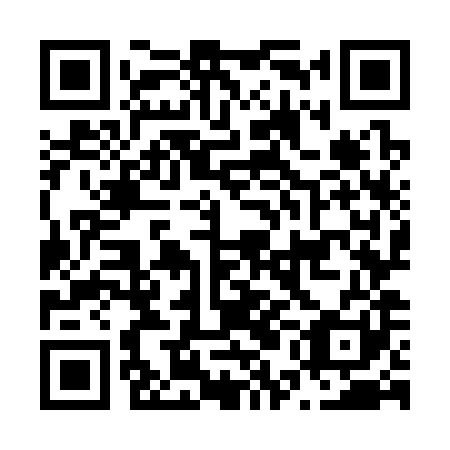 QR code for N5O381