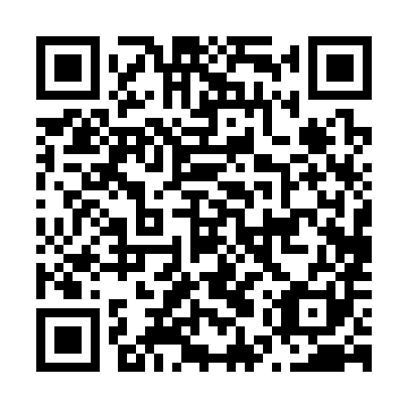QR code for N5P 381