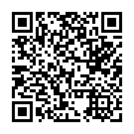 QR code for N5P 433