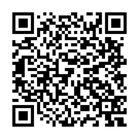 QR code for N5P 533